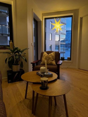 New and downtown apartment